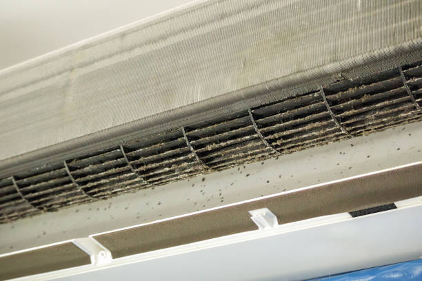 Best HVAC System Cleaning  in South Houston, TX